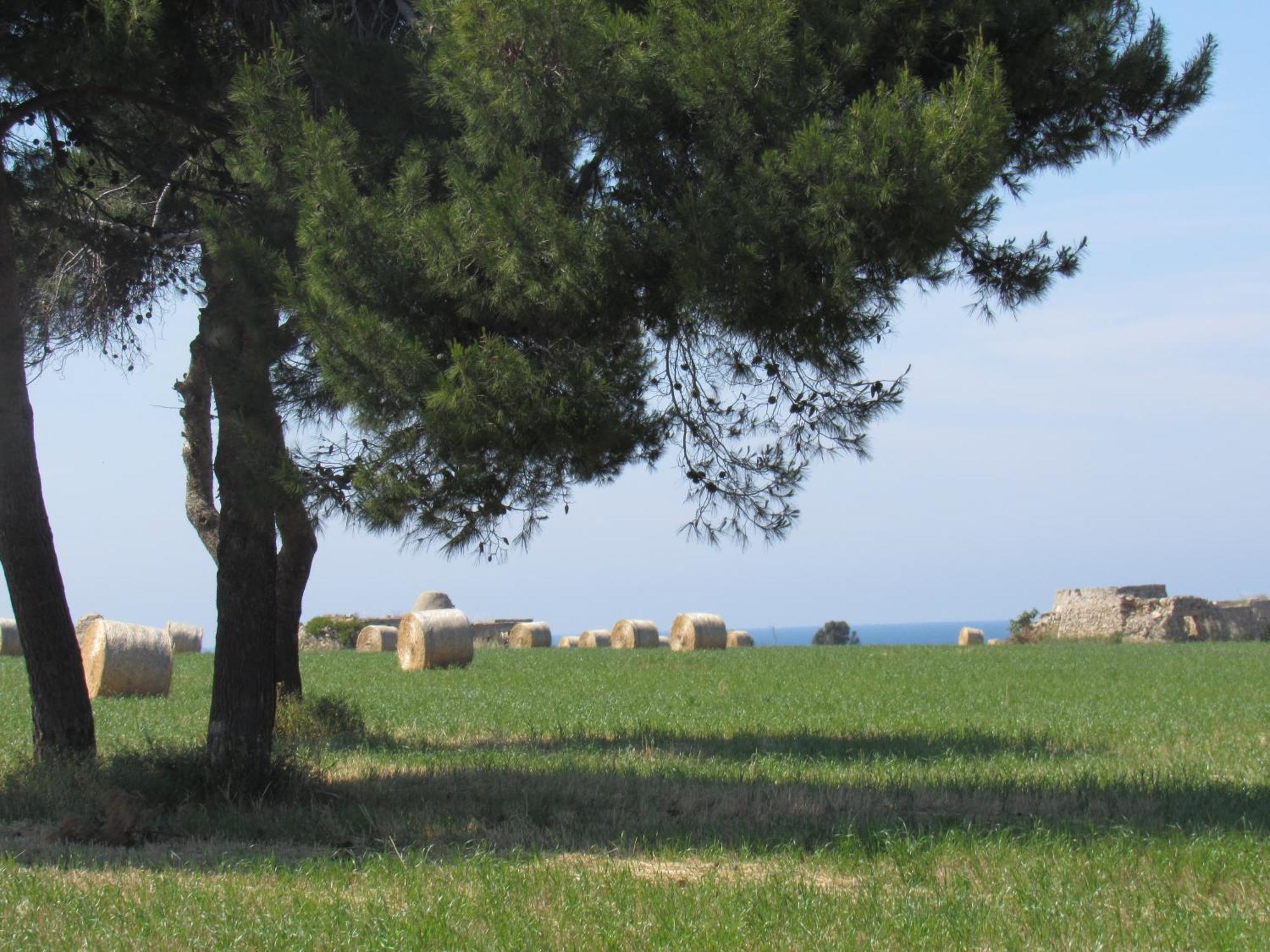 Appartamento Nisea Polignano a Mare Esterno foto