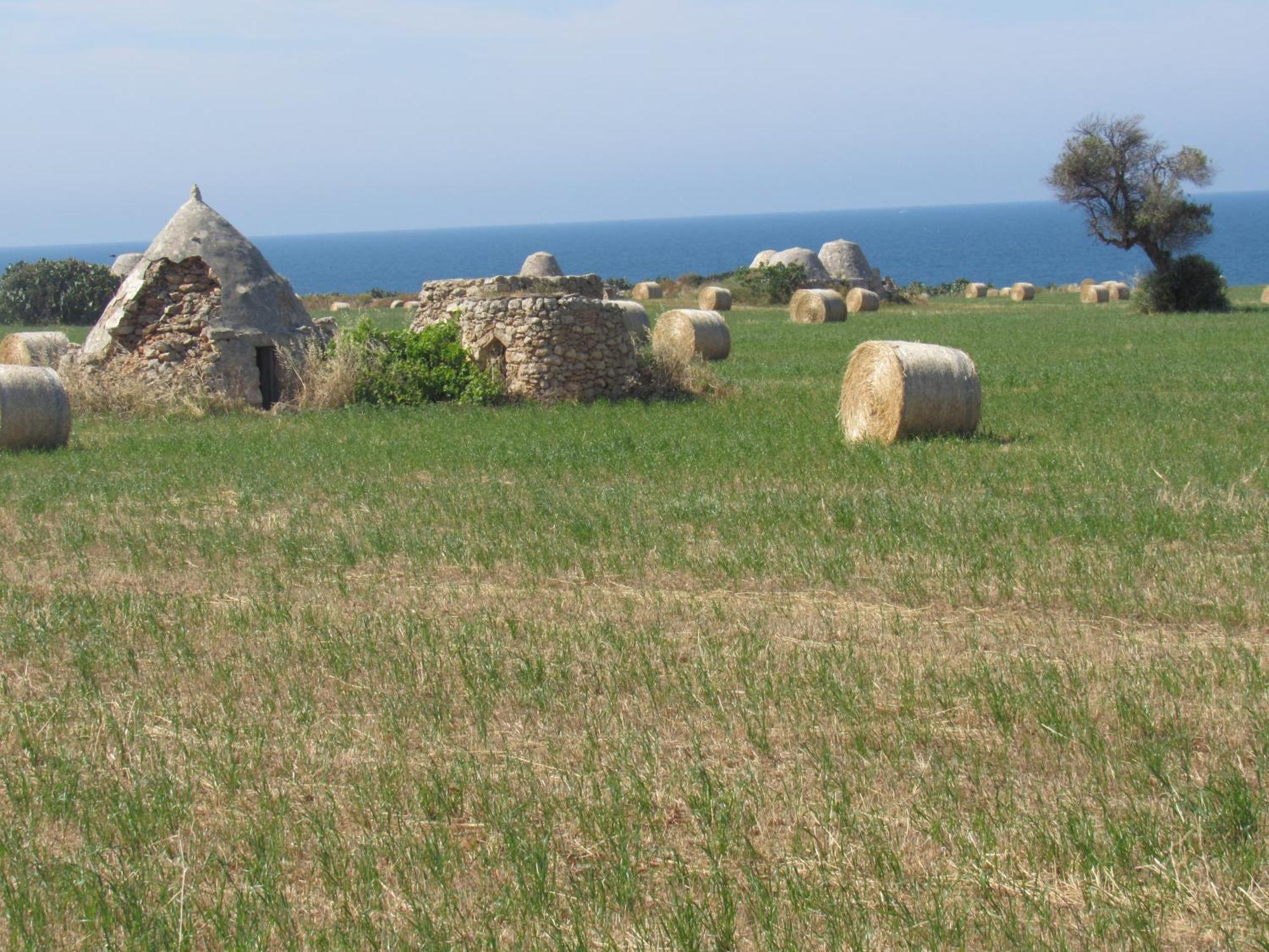 Appartamento Nisea Polignano a Mare Esterno foto